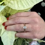 Moses Signature Hidden Halo Engagement Ring 100-04541