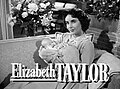 in Father's Little Dividend (1951)