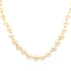 Signature Estate Akoya Pearls 800-05170