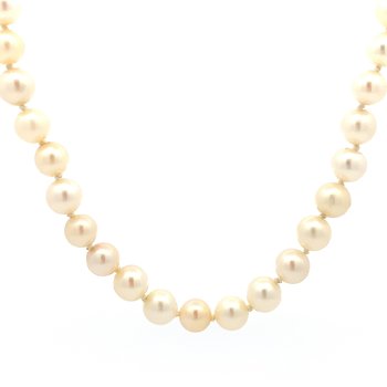 Akoya Pearls 800-05170