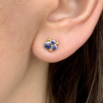 Dylan Blue Sapphire Stud Earrings 650-648281