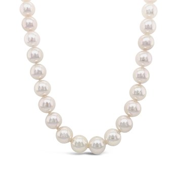 Akoya Pearls 800-05473