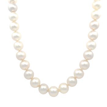 South Sea Pearls 340-28966