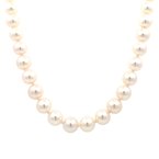 Signature Estate Cultured Pearls Signed "Tiffany & Co". 800-05190