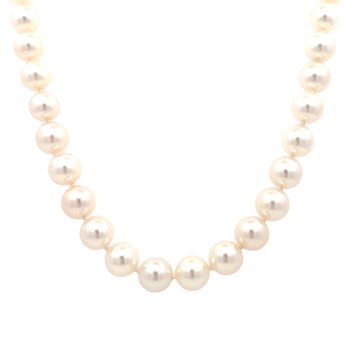 Cultured Pearls Signed "Tiffany & Co". 800-05190