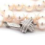 Signature Estate Cultured Pearls Signed "Tiffany & Co". 800-05190