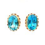 Signature Estate Swiss Blue Topaz Earrings 800-05495
