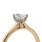 Moses Signature Hidden Halo Engagement Ring 100-04541