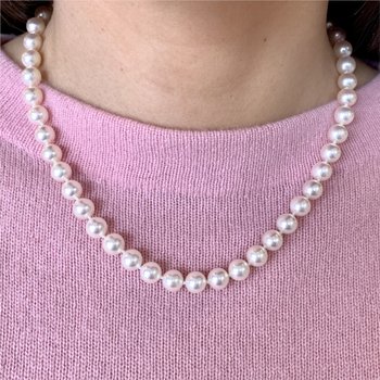 Cultured Pearls Signed "Tiffany & Co". 800-05190