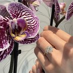 Moses Signature Hidden Halo Engagement Ring 100-04634