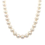 Signature Estate Cultured Pearls Signed "Mikimoto" 800-05186
