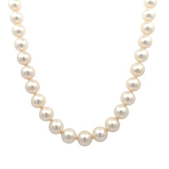 Cultured Pearls Signed "Mikimoto" 800-05186